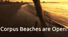 Beach Running Corpus Beaches Are Open GIF - Beach Running Corpus Beaches Are Open Run GIFs