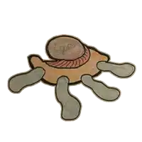 a drawing of a turtle with a swirl in the center