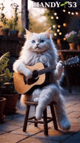 a white cat is sitting on a stool playing a guitar with handy 53 on the bottom