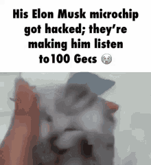 100gecs Elon Musk GIF - 100gecs Elon Musk Microchip GIFs