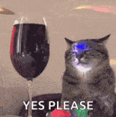 Yes Please Wine Please GIF - Yes Please Wine Please Cat GIFs