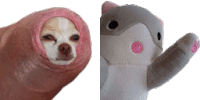a chihuahua wearing a pink blanket next to a stuffed animal
