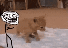 Trollface Kitty GIF - Trollface Kitty Cat GIFs