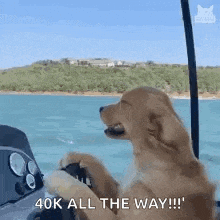 a dog is sitting at the steering wheel of a boat in the ocean .