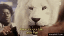 Keep Your Voice Down Ginger Man GIF - Keep Your Voice Down Ginger Man Punch GIFs