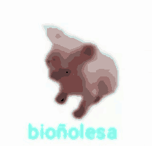 Bioñolesa GIF - Bioñolesa GIFs