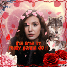 Shauna Shipman This Time Im Really Gonna Do It GIF - Shauna Shipman This Time Im Really Gonna Do It Wolf GIFs
