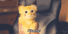 Cat Pikachu GIF - Cat Pikachu Pokemon GIFs