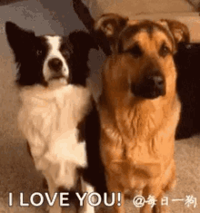 Hug Love GIF - Hug Love Dogs GIFs
