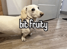 a dachshund standing on a wooden floor with the words bit fruity written above it