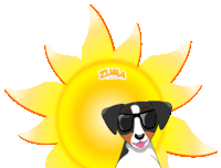 Zuma The Dog Summer Sticker - Zuma The Dog Summer Solsctice Stickers