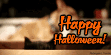 Happy Halloween Black Cat GIF - Happy Halloween Black Cat Cute Cat GIFs