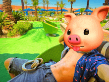 Willbr Pig GIF - Willbr Pig Oink GIFs