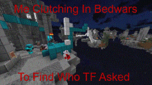 Bedwars Who Tf Asked GIF - Bedwars Who Tf Asked No One Asked GIFs