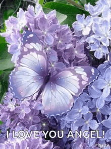 Purple Flowers GIF - Purple Flowers Butterfly GIFs