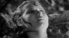 Scared Shepherdess GIF - Scared Shepherdess Bride Of Frankenstein GIFs