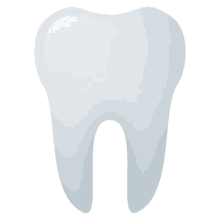 tooth teeth