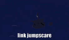 Link Jumpscare GIF - Link Jumpscare Windwaker GIFs