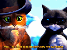 Puss In Boots Kitty Softpaws GIF - Puss In Boots Kitty Softpaws Wow That Is The Saddest Funny Story Ive Ever Heard GIFs