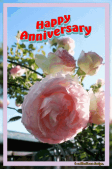 a greeting card that says happy anniversary with a pink rose in the foreground