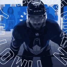 Timothy Liljegren Goal GIF - Timothy Liljegren Goal Toronto Maple Leafs GIFs