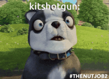 Nut Job 2 Kitshotgun GIF - Nut Job 2 Kitshotgun Jaw Drop GIFs