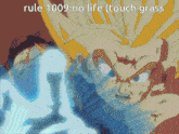 Rule 1009 GIF - Rule 1009 Dbz GIFs