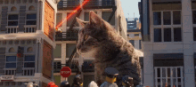 Cat Attack GIF