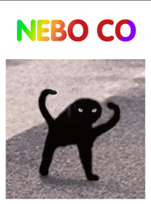 Neboco Orwhat GIF - Neboco Orwhat GIFs