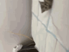 Kitten In Bed GIF - Kitten In Bed GIFs