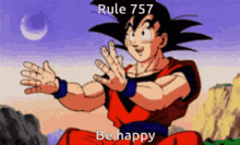 Goku Rules Rule757 GIF - Goku Rules Rule757 GIFs
