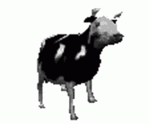 Polish Dancing Cow Dancing Sticker – Polish Dancing Cow Dancing Cow ...