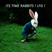 Ordinalrabbits Lfg GIF - Ordinalrabbits Rabbit Lfg GIFs