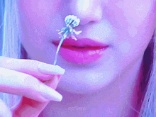 a close up of a woman holding a flower in her mouth with the name njfaerie on the bottom