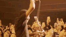 Concert Crowd GIF - Concert Crowd Call And Response GIFs