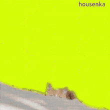 Housenka Zutomayo GIF - Housenka Zutomayo Acane GIFs