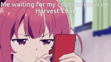 Harvest Chat GIF - Harvest Chat GIFs