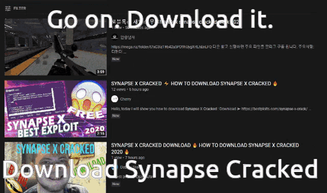 if you run synapse x crack