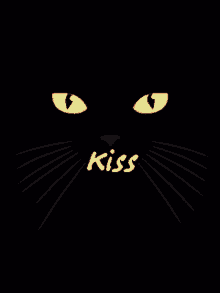 Cat Kiss GIF - Cat Kiss Luick GIFs