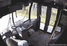 Deer Gets A Free Bus Ride GIF