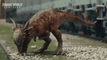 Jurassic Park GIF - Jurassic Park GIFs