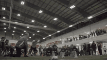 Jumping Conclusions GIF - Jumping Conclusions Cfl GIFs