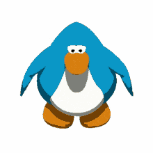 penguin penguin