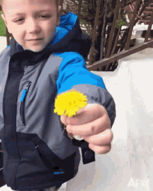 Sunflower Boy GIF - Sunflower Boy Falling GIFs