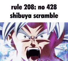 rule208 428shibuya