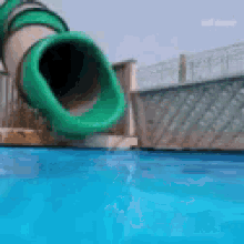 Excited Dog GIF - Excited Dog Pool GIFs