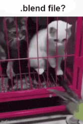 a white cat is sitting in a pink cage with a bird .