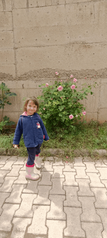 a little girl in a blue jacket is standing on a brick sidewalk