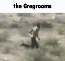 Teamgreg Thegregrooms GIF - Teamgreg Thegregrooms GIFs