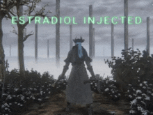 a person standing in a foggy forest with the words estradiol injected